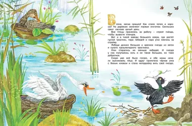 Мамины любимчики