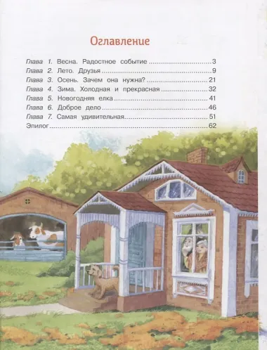 Самое обычное чудо