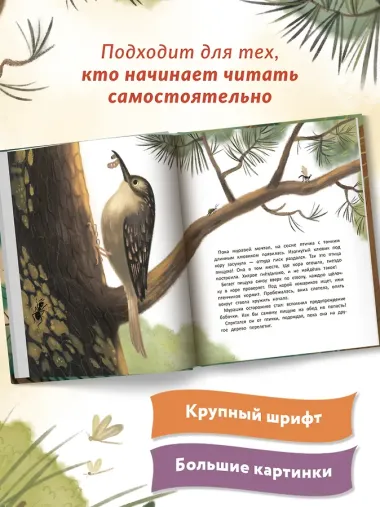 Как муравей за солнышком ходил