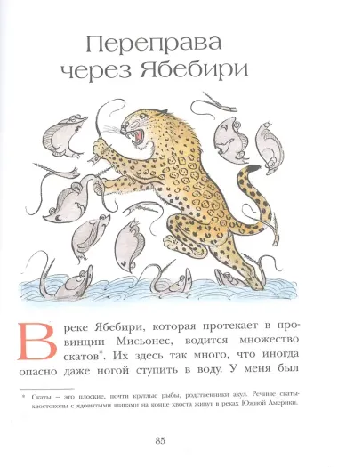 На берегах Ябебири