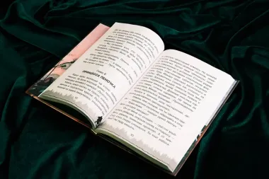 Интерпол нечистой силы