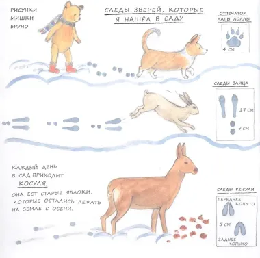 Зима мишки Бруно