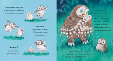 Любви хватит на двоих