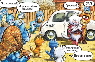 Где же братик?
