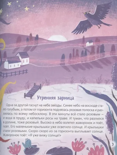 Цветок солнца. Рассказы (Читаем от 0 до 3 лет)
