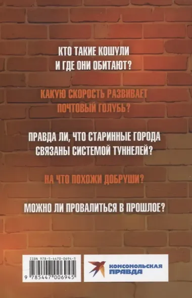 Добруши и кошули. Тайна башни