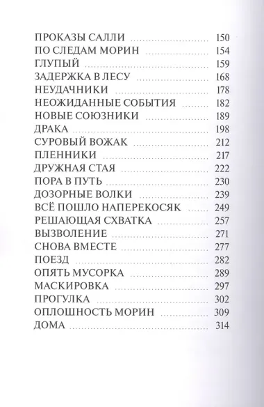 Путь домой. Лабиринты дорог