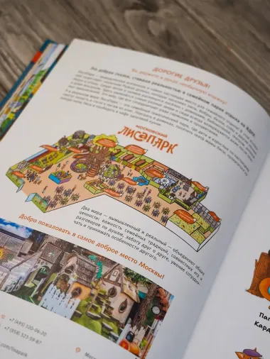 Рыжая долина. Станция Лисавецкая