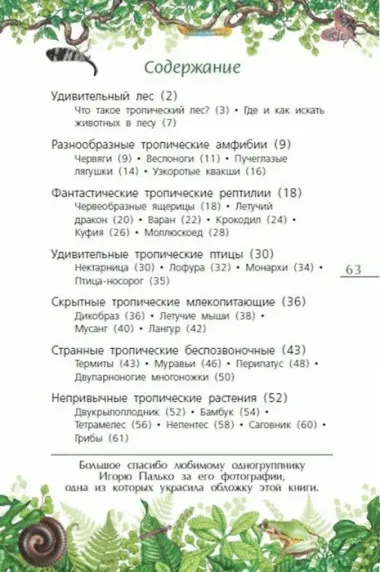 Тропический лес