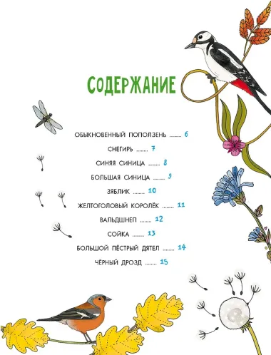 Птицы