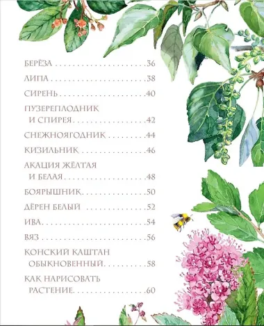 Растения в городе