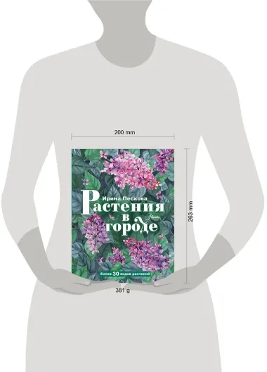 Растения в городе
