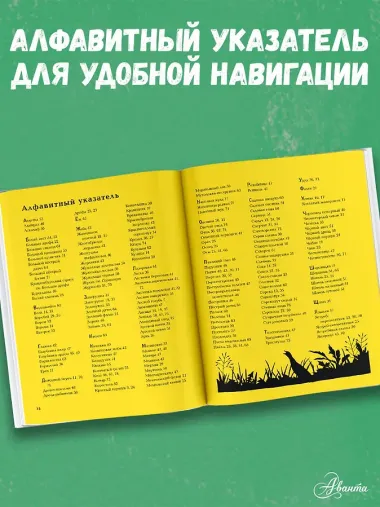Животные рядом с нами