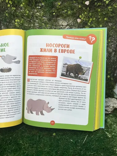 Невероятные животные