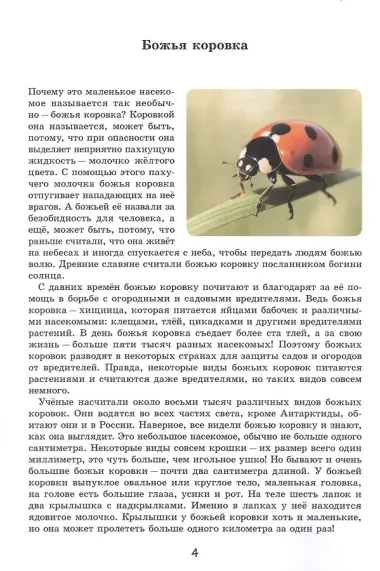 Эти милые букашки