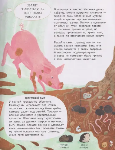 Мифы о животных