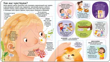 Секреты человека