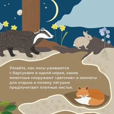 Что внутри? Как устроены дома животных