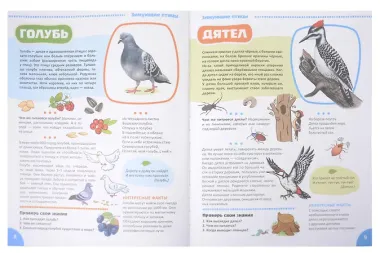 Я познаю мир. Птицы. Познавательная книга для детей 4-8 лет