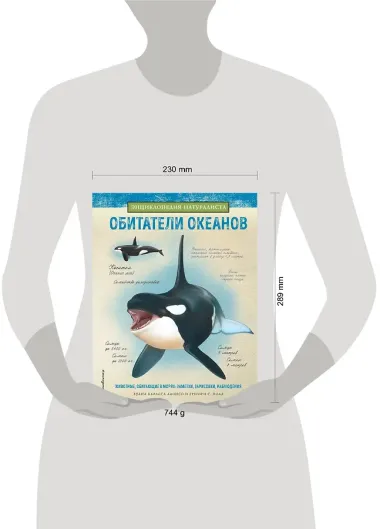 Обитатели океанов