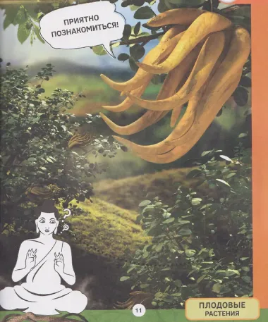 Необычные растения. 4D книга