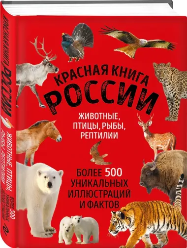 Красная книга России. Большой формат. Более 500 уникальных иллюстраций и фактов (новое издание) (основной)