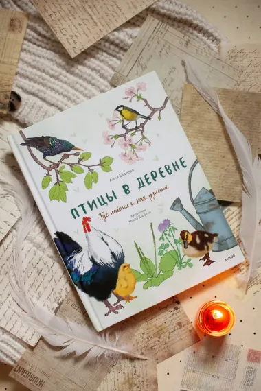 Птицы в деревне. Где найти и как узнать