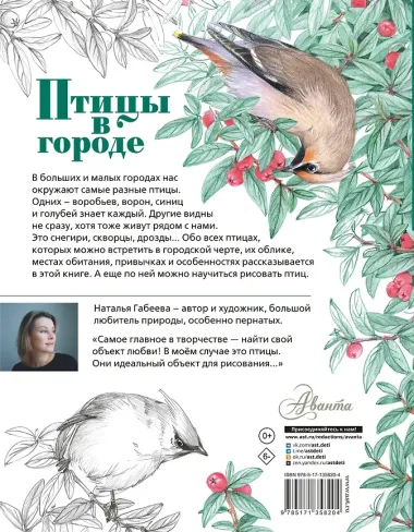 Птицы в городе