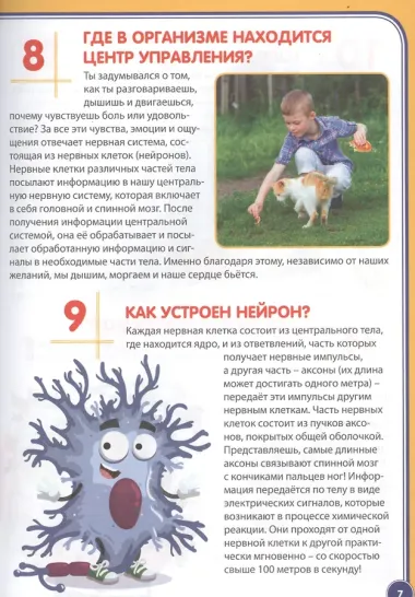 Тело человека. Почемучкам и любознашкам