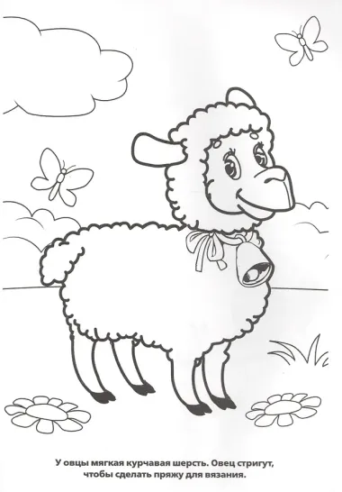 Домашние Животные. Прозрачные Страницы.