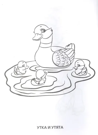 Мамы и малыши (Первая раскраска А4)