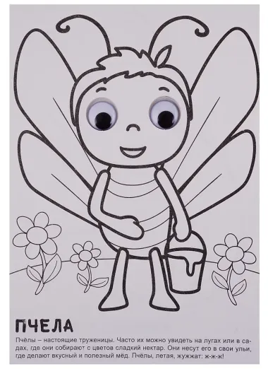 РАСКРАСКА А4 с глазками 22мм. ПРО БУКАШЕК