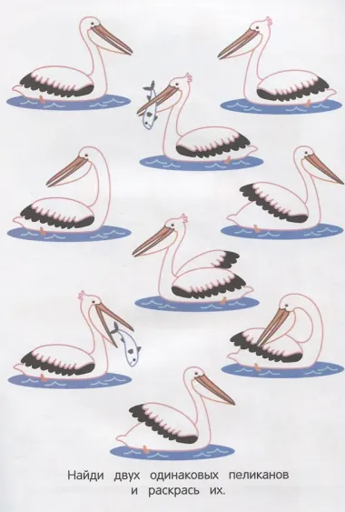 Саванна и джунгли