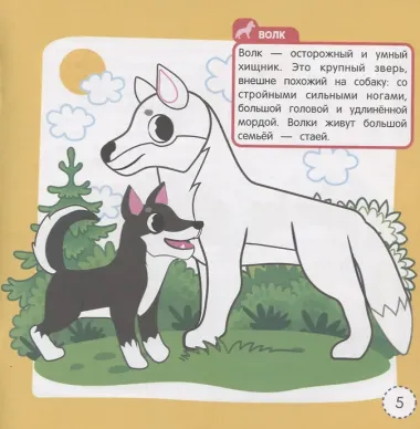 Животные леса. Книжка-раскраска