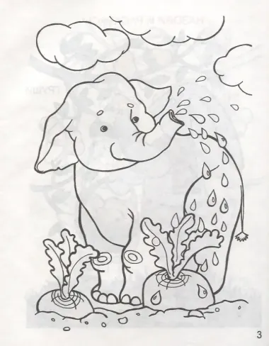 В саду и огороде