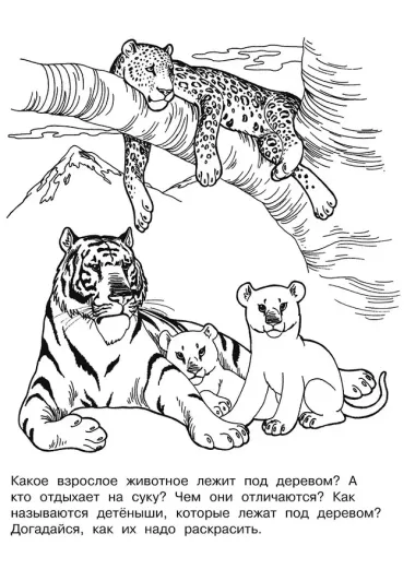 Изучаем животных. Раскраска серии 