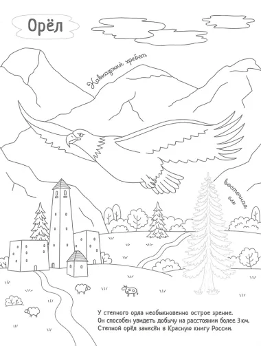 Раскрась Россию (комплект из 2 книг)