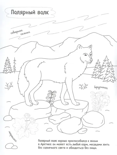 Раскрась Россию (комплект из 2 книг)