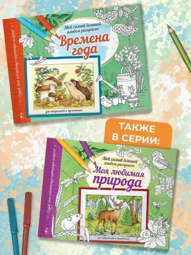 Времена года