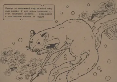 Раскраска В лесу