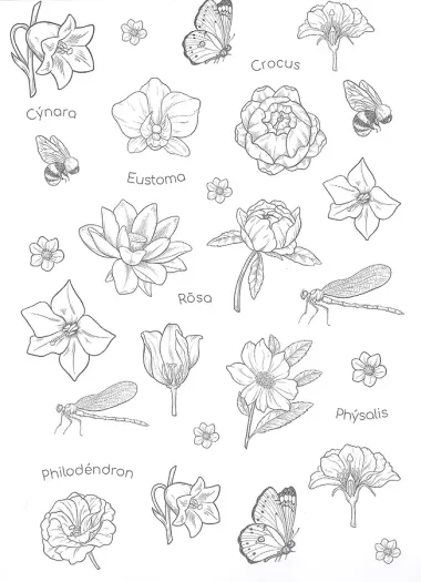 Ботаника. Раскраска для скетчмаркеров
