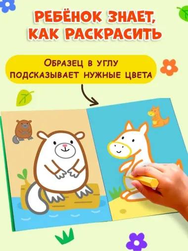 Раскраска с цветным контуром (Сова)