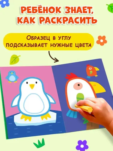 Раскраска с цветным контуром (Улитка)