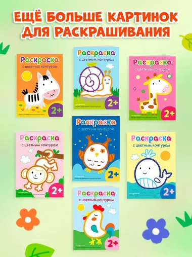 Раскраска с цветным контуром (Зебра)