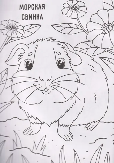 Грызунчики: книжка-раскраска