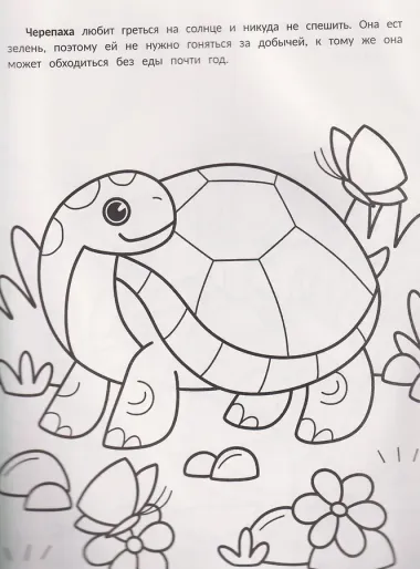 Самые ленивые: книжка-раскраска