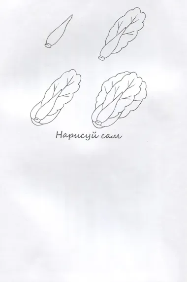 Фрукты НС-5-3