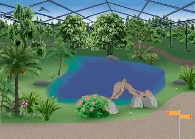 Моя книга животных