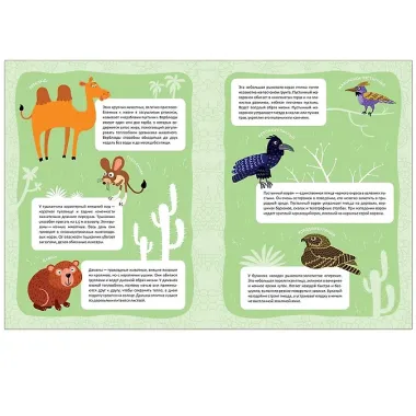 В мире животных. Знойная пустыня