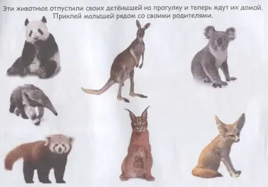 Маленькие зверята